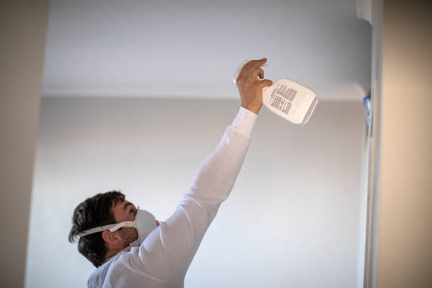 Best Attic Mold Removal  in Chama, NM