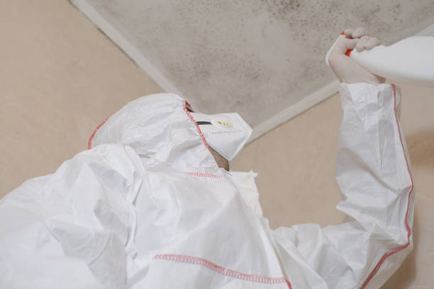 Best Mold Testing  in Chama, NM
